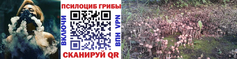 Галлюциногенные грибы Cubensis  Моршанск 