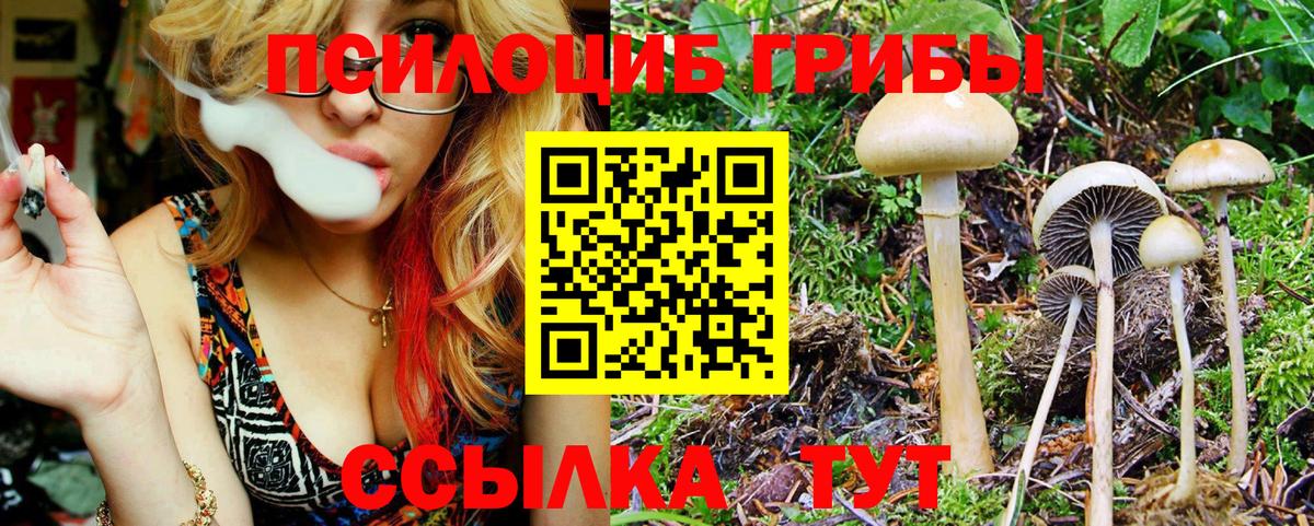 Галлюциногенные грибы GOLDEN TEACHER  Галлюциногенные грибы мухоморы  Моршанск  Вход с VPN 