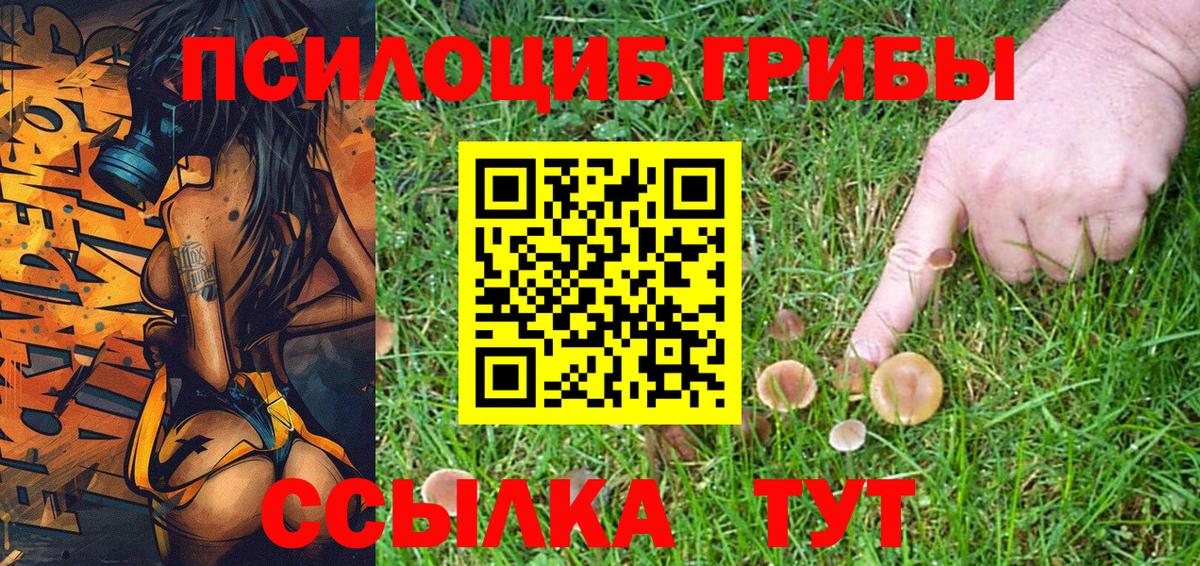 Псилоцибиновые грибы GOLDEN TEACHER  Моршанск 