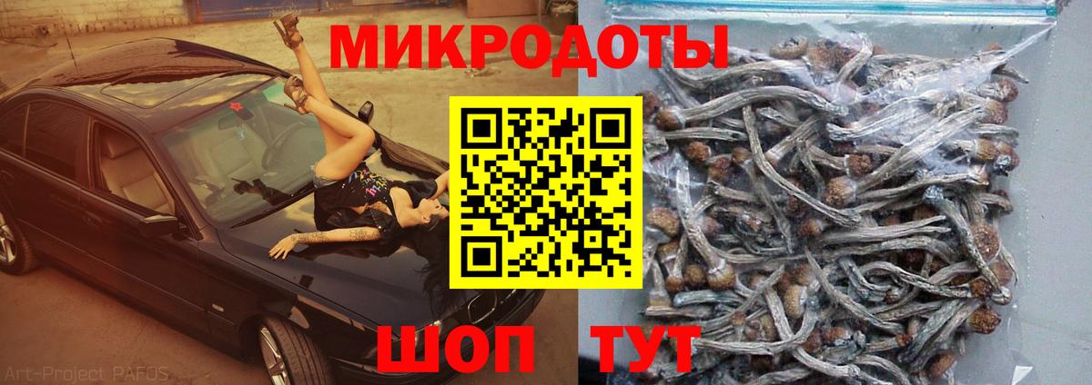 Псилоцибиновые грибы мухоморы Моршанск